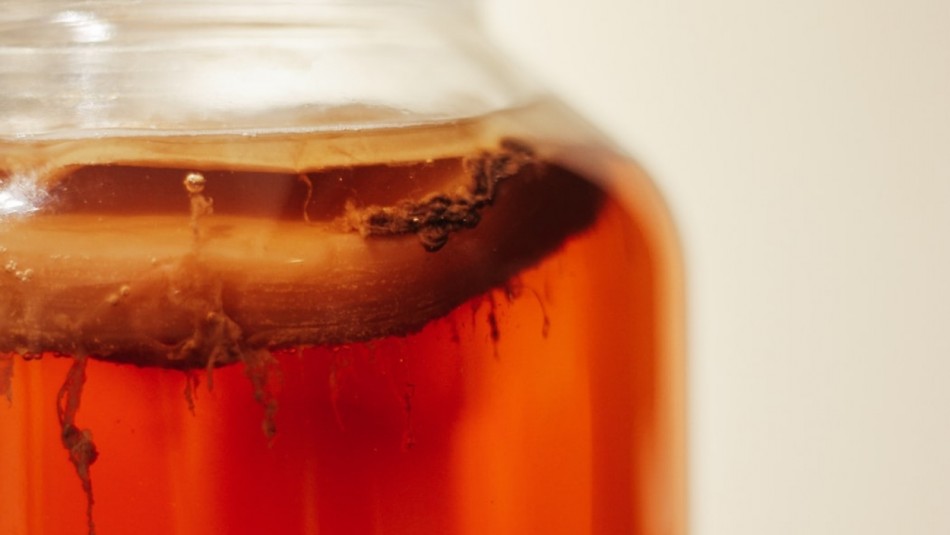 Kombucha en época de frío: ¿Qué cambia según la estación? Kombucha en época de frío: ¿Qué cambia según la estación?