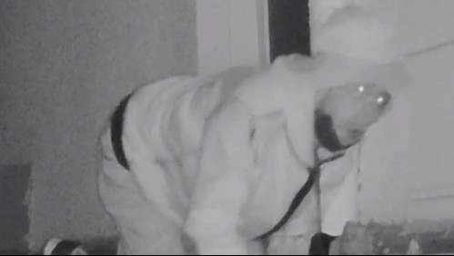 Restaurantes en alerta por 'Los Gatos': Roban dinero, computadores y alcohol