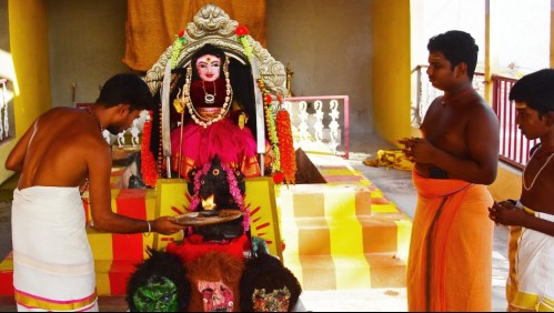 'Ni los médicos son capaces': en India invocan a la 'Diosa Corona' contra la pandemia