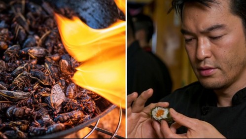 '¡Estaba muy rico!': Un chef ofrece una degustación gratuita de sushi de cigarra