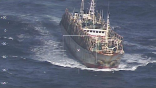 Buscan calamar rojo: Armada fiscaliza a flota extranjera que se desplaza en la costa chilena