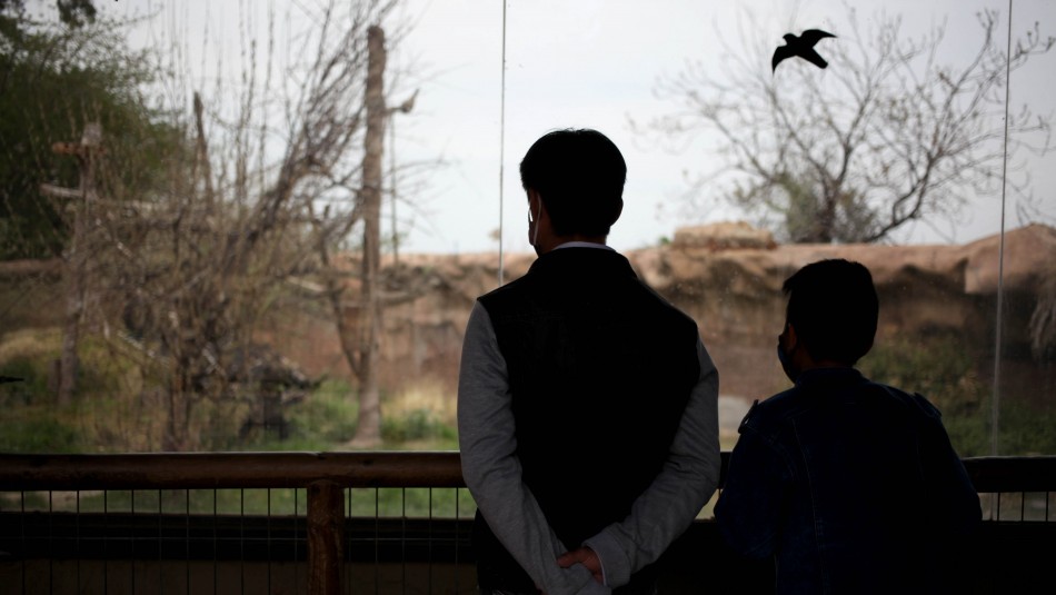 Donó 33 mil entradas al zoo para niños: Prometió a su difunta esposa que Donó 33 mil entradas al zoo para niños: Prometió a su difunta esposa que