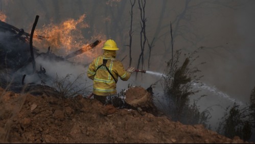 Detienen a joven por su presunta participación en incendio forestal de Lago Peñuelas