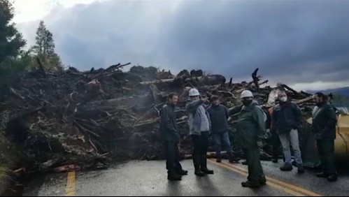 Ruta cortada entre 5 a 7 días: Lluvias provocan deslizamientos de tierra en Los Ríos