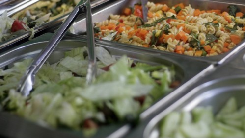 Aprueban incorporar alimentación vegetariana y vegana en menú Junaeb: Proyecto pasa al Senado
