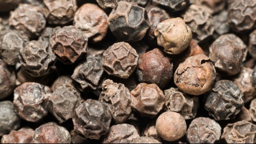 'Oro negro': El condimento que podrás usar como antibacterial natural