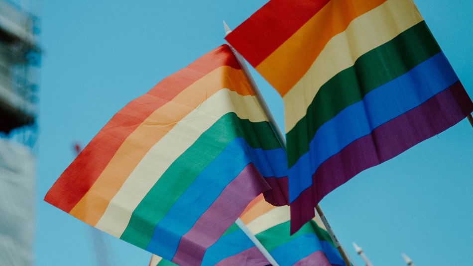 Cadem: 74% de los chilenos aprueba el matrimonio igualitario y un 65% la adopción homoparental Cadem: 74% de los chilenos aprueba el matrimonio igualitario y un 65% la adopción homoparental