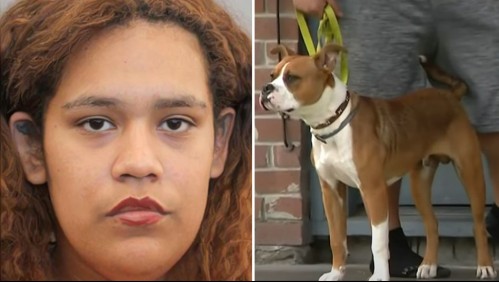 Madre balea por accidente a su hijo de 5 años tras apuntar al perro de su vecino