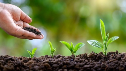 ¿Qué estás haciendo para reducir tu huella medioambiental?