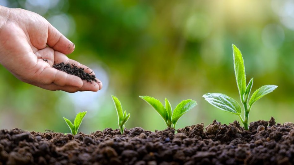 ¿Qué estás haciendo para reducir tu huella medioambiental? ¿Qué estás haciendo para reducir tu huella medioambiental?