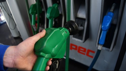 Eliminación impuesto específico a los combustibles: Hay apoyo político, pero expertos se oponen