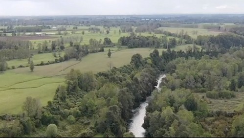 El Chile que sueñas: Disminución de campamentos y protección de la naturaleza para Los Ríos