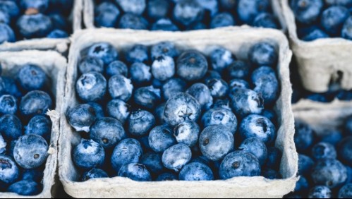 Los desconocidos beneficios de consumir arándanos antes de las comidas