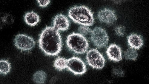 ISP confirma que variante Delta del coronavirus 'no ha ingresado a Chile'