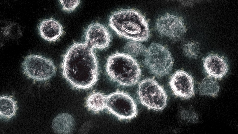 ISP confirma que variante Delta del coronavirus 