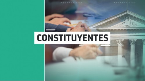 Los 155 integrantes de la Convención Constitucional