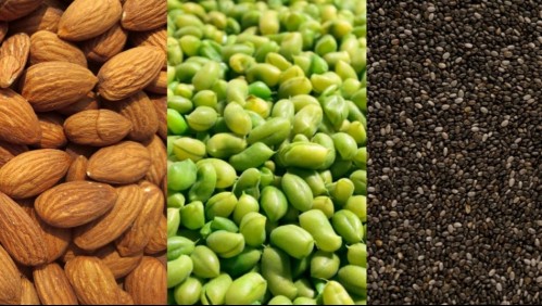 ¿Te falta calcio? Estos son los alimentos que debes priorizar