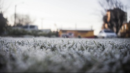 Alerta por ola de frío en varias regiones del país: temperaturas bajarán hasta los -3 grados
