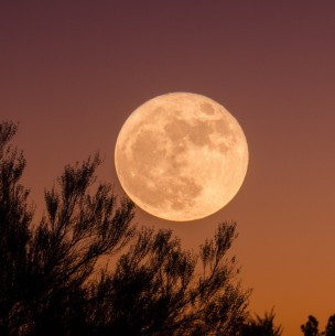 Superluna de Fresa: ¿A qué hora se comenzará a ver la última del año? Superluna de Fresa: ¿A qué hora se comenzará a ver la última del año?