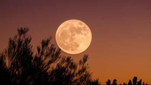 Superluna de Fresa: ¿A qué hora se comenzará a ver la última del año?