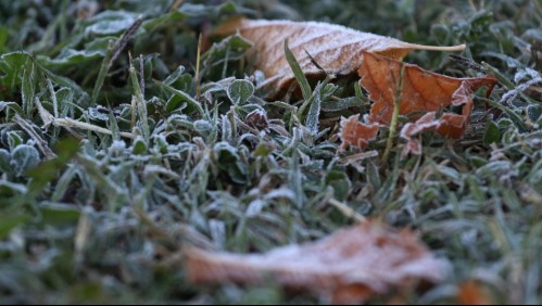 Aviso meteorológico: Se anuncian heladas para región Metropolitana y de Valparaíso