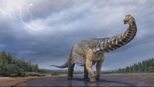 Planeta Futuro - Australotitan: identifican 'nuevo' mega dinosaurio de 70 toneladas