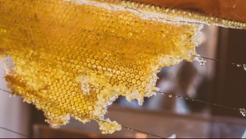Esta es la miel que debes consumir si quieres todos sus beneficios