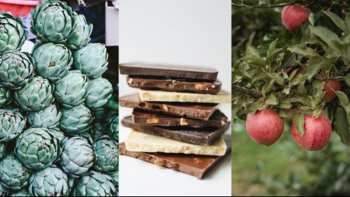 Qué comer y qué evitar para reforzar las defensas de tu cuerpo durante el invierno