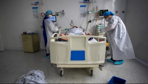 Candida auris: El 'súper hongo' mortal que ha sido vinculado al Covid-19