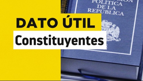 Nueva Constitución: ¿Cuántos constituyentes tiene cada distrito del país?