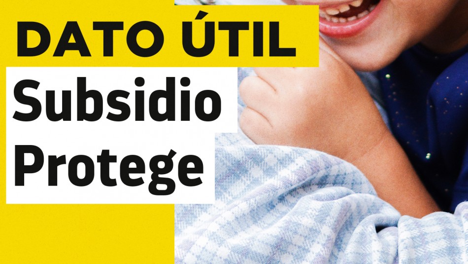 subsidio-protege-estado-de-solicitud Subsidio Protege estado de solicitud