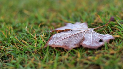 Activan Código Azul: Pronostican mínimas de hasta -2°C para este domingo en Santiago