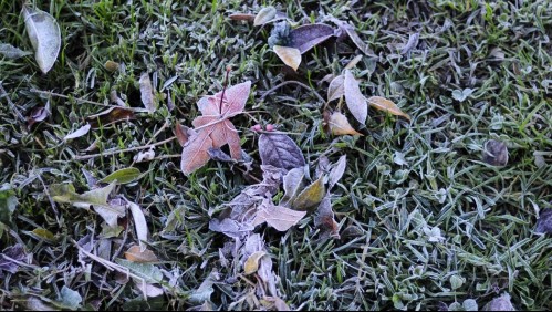 Ola de frío: ¿Hasta cuándo permanecerán las bajas temperaturas?