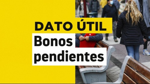 Bonos pendientes: Revisa con tu RUT si tienes beneficios por cobrar