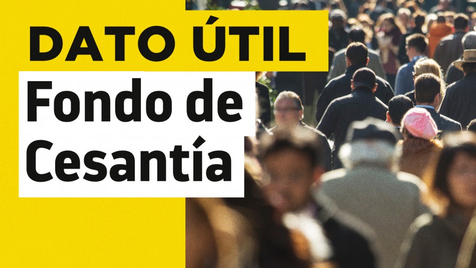 Fondo de Cesantía Solidario: Conoce a quiénes les corresponde recibir los pagos del beneficio Fondo de Cesantía Solidario: Conoce a quiénes les corresponde recibir los pagos del beneficio