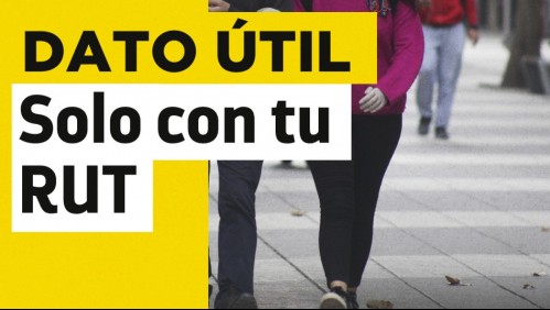 Solo con tu RUT: Entérate de cuándo recibes el pago de tus beneficios del IPS