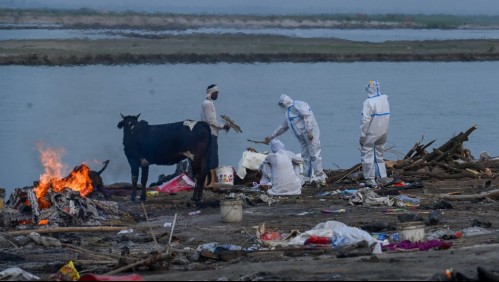 Dura cara de la pandemia en India: cientos de cadáveres aparecen flotando por crecida del río