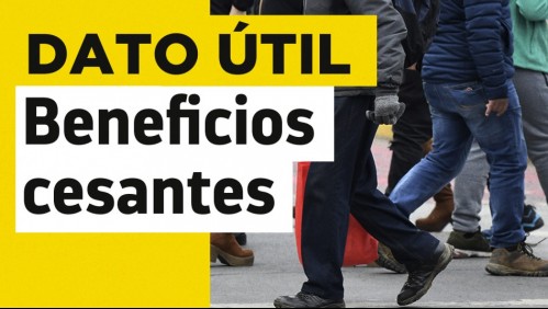 Subsidio de Cesantía: Revisa por cuánto tiempo recibes los pagos del beneficio