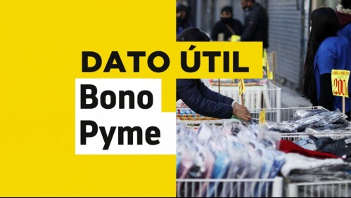 Inicia postulación del Bono Pyme: Conoce el sitio oficial para solicitar el aporte de $1 millón