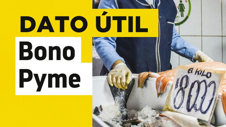 Bono Pyme y feriantes: Revisa cómo solicitar el pago de $1 millón Bono Pyme y feriantes: Revisa cómo solicitar el pago de $1 millón