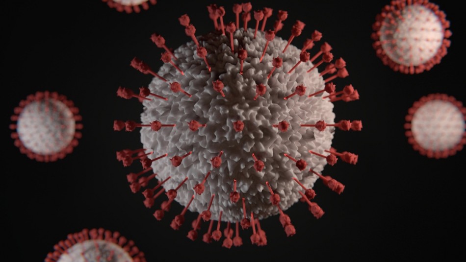 Épsilon: La variante del Covid-19 que sería 20% más infecciosa Épsilon: La variante del Covid-19 que sería 20% más infecciosa