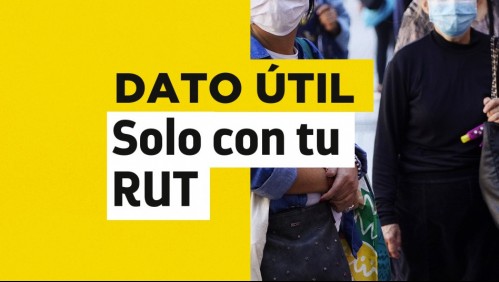 Solo con tu RUT: Conoce cuándo recibes el pago de tus beneficios del IPS