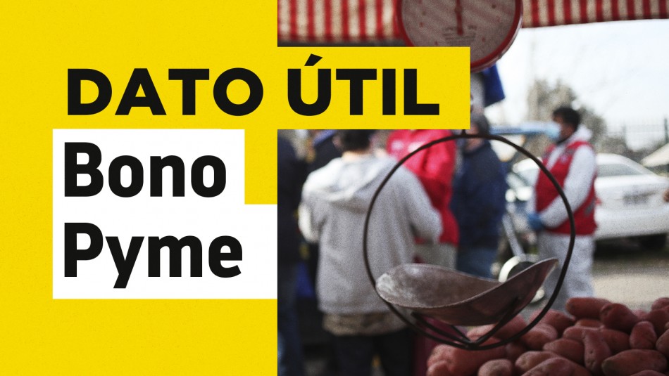 Bono Pymes: Conoce los requisitos que deben cumplir los feriantes para solicitar el beneficio Bono Pymes: Conoce los requisitos que deben cumplir los feriantes para solicitar el beneficio