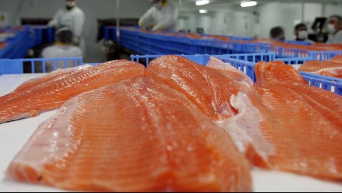 Impacto en Angelmó: Vendían salmones en descomposición como filetes en mercado