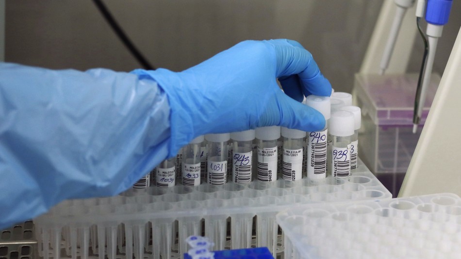 positividad-en-examenes-pcr-en-region-de-magallanes Coronavirus: Positividad en exámenes PCR alcanzó un 0% en la región de Magallanes