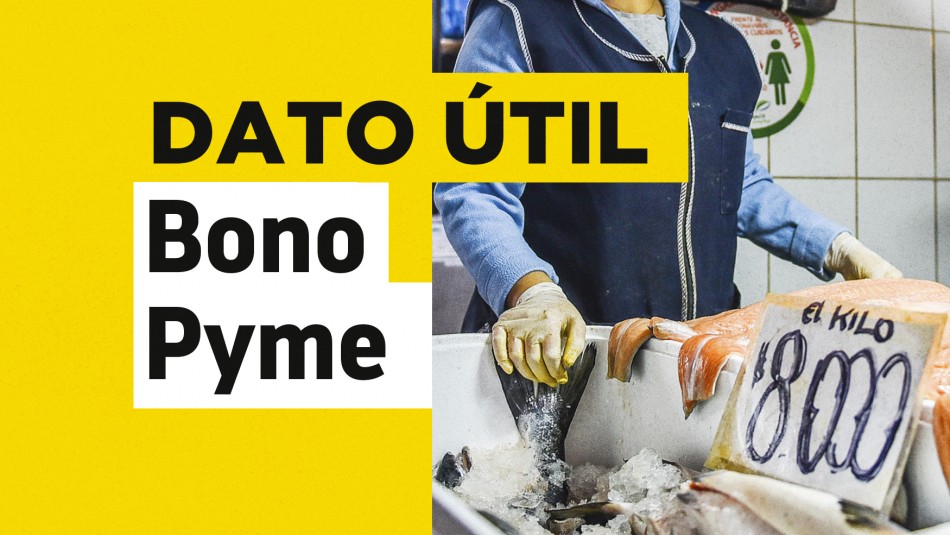 Bono Alivio Pymes: Conoce las fechas de solicitud de los distintos beneficios que contempla Bono Alivio Pymes: Conoce las fechas de solicitud de los distintos beneficios que contempla