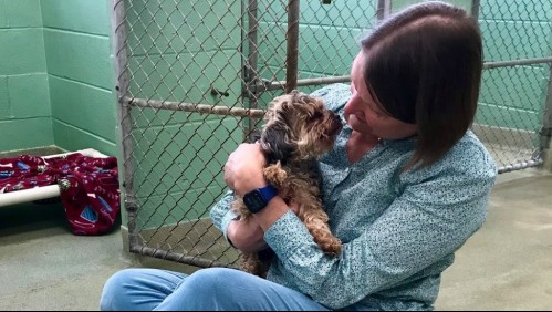 Mujer recuperó a su perro siete años después que se lo robaran gracias a un microchip