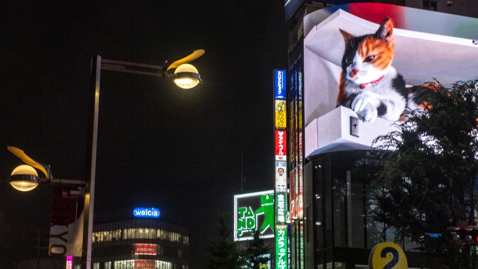 Duerme, maúlla y observa: el gato en 3D que tiene obnubilados a los habitantes de Tokio