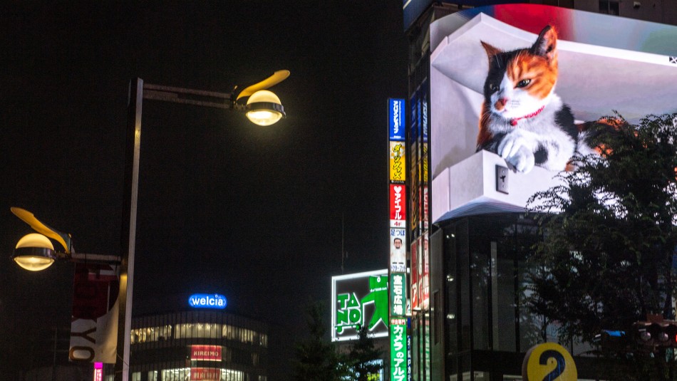 gato-3d-japon Duerme, maúlla y observa: el gato en 3D que tiene obnubilados a los habitantes de Tokio