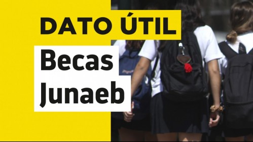 Beca Práctica Técnico-Profesional: Revisa hasta cuándo puedes postular